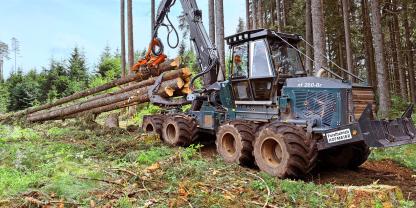 Magnus Hofmeier rückt mit seinem Steilhang-Harvester Fichten-Stammholz