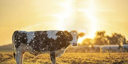 Die Künstliche Intelligenz verbindet Genomik, Leistung und Exterieur zu Zuchtentscheidungen.