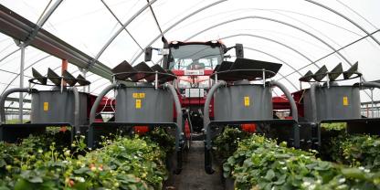 Innovativer Technik im Einsatz gegen Schädlinge in Erdbeeren - Thripse, Wanzen oder Kirschessigfliegen werden einfach weggesaugt.