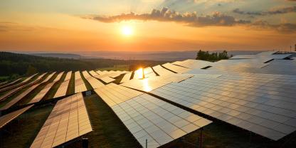 Unter den zahlreichen Modulreihen von Solarparks befinden sich große verschattete Bereiche, unter denen sich optimal Pilze anbauen lassen.