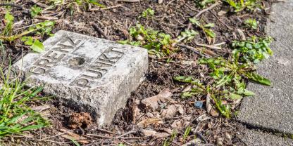 Grenzstein-AdobeStock_256227859