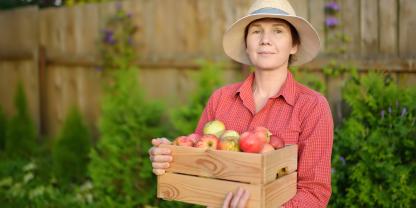 Frau steht im Garten und hält Holzkiste mit selbstgepflückten Äpfeln