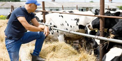 Landwirt-Kühe_AdobeStock_231466401