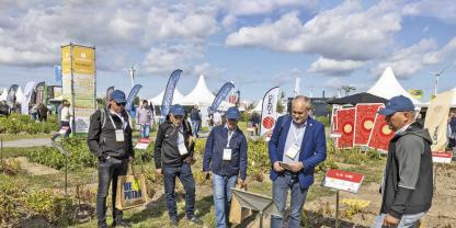 Die Fachmesse PotatoEurope findet dieses Jahr erstmals gemeinsam mit der SugarBeet Expo statt.