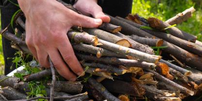 Wer unerlaubt Holz im Wald sammelt, begeht Diebstahl.