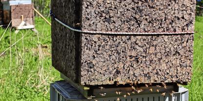 Mit angelehnten Korkplatten zusätzlich gedämmte dünnwandige Holzbeute von Rainer Fehlemann (Geldern).
