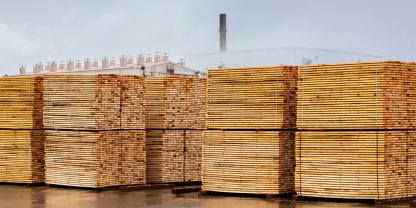 Sägewerk-Kanada-AdobeStock_617979984