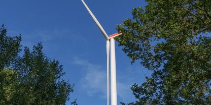 Wo Windkraft und Wald aufeinander treffen, kommt es regelmäßig zu Konflikten.