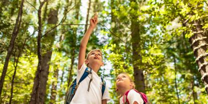 Kinder entdecken im Wald 