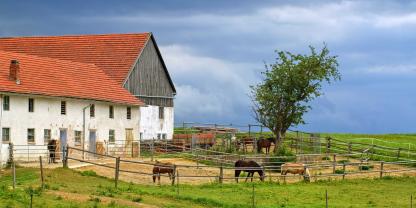 Bauernhof-AdobeStock_101249961