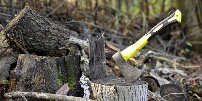 Jetzt geht’s ans Brennholz: Diese Ausrüstung erleichtert die Arbeit