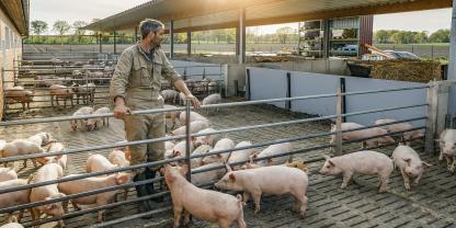 Moderne Technologien können viele Daten liefern und auswerten. Am Ende bleibt der fachliche Blick des Landwirts für seine Tiere wesentlich.