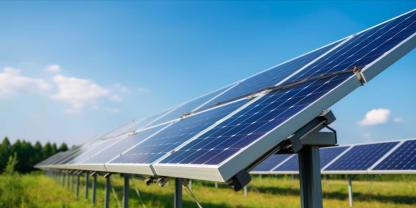 Auf 36 ha Agri-PV-Fläche setzt Familie Pirker auf englische Schafrassen. Die PV-Module bieten den Tieren Schatten bei Hitze und Schutz vor Regen. (Symbolbild)