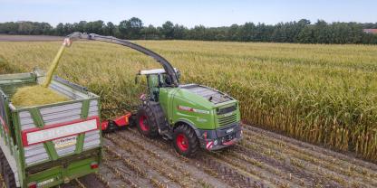 Die ForageQualityCam von Fendt ermittelt 
den Aufbereitungsgrad des Körnerprozessors und gibt dem Fahrer Hinweise.