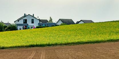 Siedlung-Ortsrand-AdobeStock_2173168688