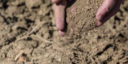 Die Trockenheit hat viele Landwirte dieses Jahr hart getroffen.