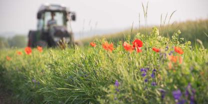 Die Motivation ist da: Die Politik muss die Rahmenbedingungen setzen, dann sind die Landwirte beste Partner des Naturschutzes.