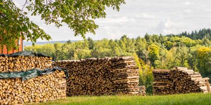Holzlager-Brennholz-AdobeStock_176126576