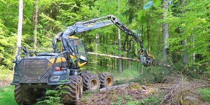 Abb. 1: Harvester bei der Rindenbehandlung von Fichtenstämmen. Die Vorschubwalzen und Entastungsmesser entfernen und quetschen den natürlichen Brutraum des Buchdruckers, vor allem bei mehrfachem Durchlaufen des Aggregats.