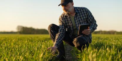Inspektion eines landwirtschaftlichen Feldes bei Sonnenuntergang: Ein Landwirt überprüft junge Pflanzen und hält dabei ein Tablet in der Hand