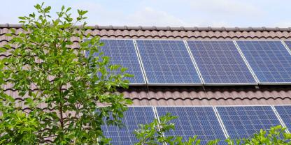 Zwei Bäume auf dem Grundstück eines Biergartens werfen so viel Schatten auf die Solarmodule des Nachbargrundstücks, dass deren Ertrag beeinträchtigt wird. (Symbolbild)