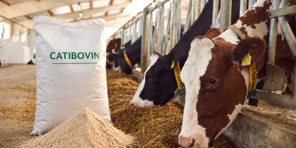 Das Ergänzungsfuttermittel CatiBovin soll die Aufnahme von Stickstoff und Kalzium verbessern und so Nährstoffverluste und Ammoniakemissionen reduzieren.