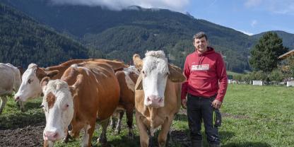 Andreas Riedl mit seinen Milchkühen auf der Weide: Jeden Morgen nach dem Melken lässt er sie raus und holt sie nachmittags wieder in den Stall.