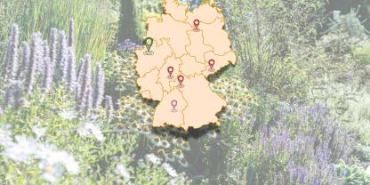 Wohin soll die Reise 2027 gehen? Wie wäre es mit einer blühenden Tour zu Deutschlands Gartenschauen?