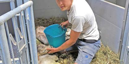 Tim Mummert verbindet Wissen mit Praxis: Nach dem Studium der Agrarwissenschaften lernte er auf dem Milchviehbetrieb der Familie Wegscheider im Allgäu noch den Beruf des Landwirts.