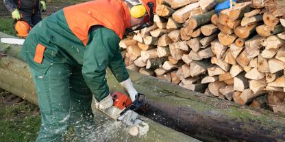 Holz-Waldarbeiten-AdobeStock_337420735