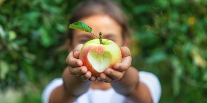 AdobeStock_464069827