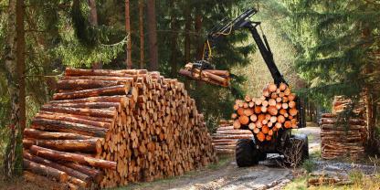 Holztransport-AdobeStock_197942208(1)