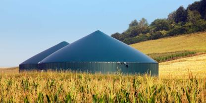 Eine neue Studie zeigt, welche Alternativen sich zu Silomais sinnvoll in Biogasanlagen einsetzen lassen.