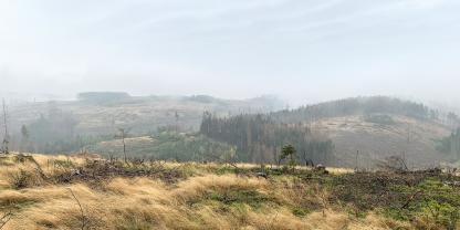 Abb. 1: Flächig abgestorbene Fichtenwälder im Frankenwald dokumentieren die Notwendigkeit neuer waldbaulicher Lösungen. Alle mit dem strohfarbenen Gras Drahtschmiele bedeckten Flächen waren zuvor geschlossene Wälder. Wie soll es weitergehen? Großflächige Naturverjüngung mit Fichte oder großflächige Aufforstung mit Douglasie sind hier keine erfolgversprechenden Lösungen.