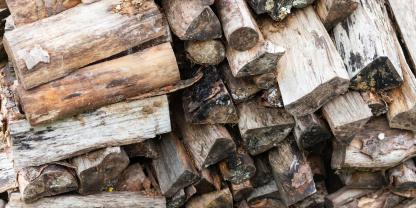 Brennholz mit Schimmel auf einem Stapel