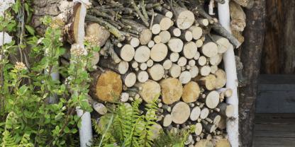 Ein selbstgebautes Holz-lager aus Birkenstämmen mit Seitenwänden und Dach aus Brettern samt Rinde schützt Hölzer.