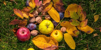 Der goldene Oktober hält Einzug in die Gärten. Noch gibt‘s viel zu ernten und zu erledigen, bevor der erste Wintereinbruch vor der Tür steht.