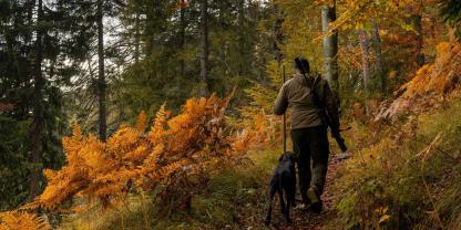 Jäger-Wald-AdobeStock_671483670