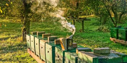 Der Herbst hat Einzug gehalten. Ein letztes Mal wird vor den Fluglöchern gemäht, damit die Bienen ungehindert ein- und ausfliegen können.