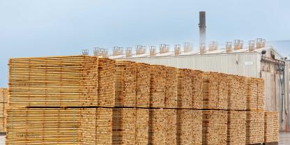 Sägewerk-Kanada-AdobeStock_617980087