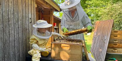 Auch bei sanftmütigen Bienen steht die Sicherheit des Nachwuchses am Bienenstand an erster Stelle.