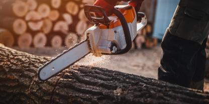 Brennholz schneller sägen: Diese Kettensägen und Werkzeuge sparen Arbeit