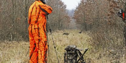 Bei der Drückjagd müssen oft in Sekundenschnelle richtige Entscheidungen getroffen werden.
