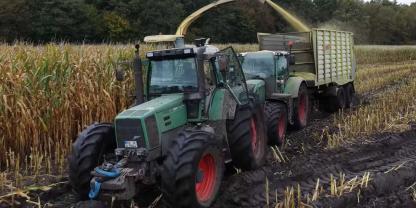 Fendt Traktoren bei der Maisernte im Schlamm