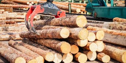 Sägewerk-AdobeStock_179257900