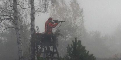 Widrige Wetterverhältnisse und schlechte Sicht sollten bei Drückjagden zu denken geben.