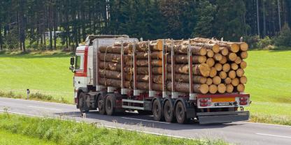 Holztransport-LKW-AdobeStock_15854232