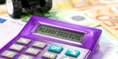 Die EU-Regierungschefs verhandeln Ende der Woche über die EU-Direktzahlungen für Landwirte.