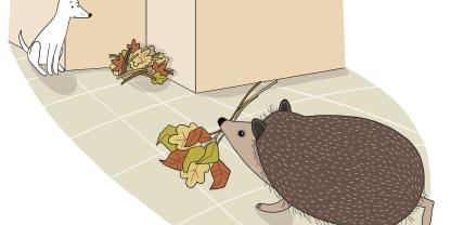 Igel_Illustration