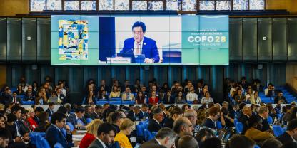 Als höchstes zwischenstaatliches Gremium der FAO für Forstfragen fördert der Ausschuss für Forstwirtschaft (Committee on Forestry, COFO) seit 1971 die internationale Zusammenarbeit, den politischen Dialog sowie die fachliche Beratung zu forstbezogenen Themen.